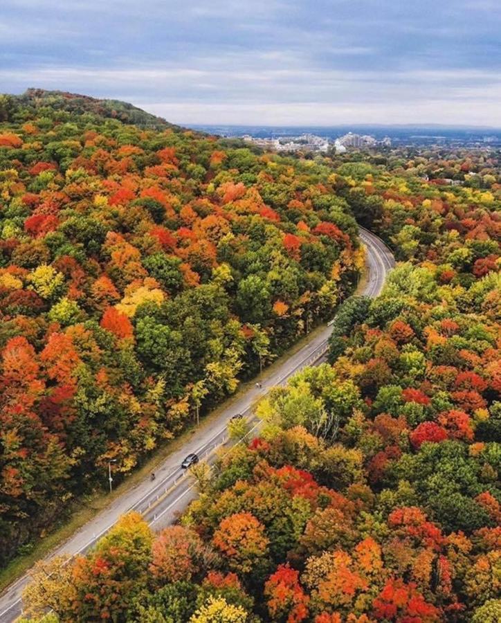 Hotel And Suites Les Laurentides Saint-Sauveur Экстерьер фото